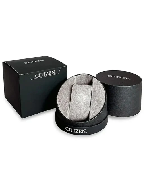 Citizen Ladies Eco-Drive Bracelet Watch
