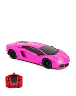 CMJ 1:24 Scale Lamborghini Aventador Pink RC Car