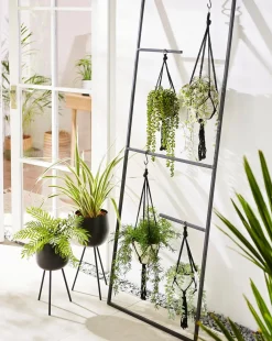 Gray & Osbourn No.01 Plant Stand