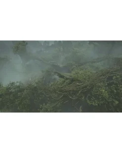 Monster Hunter Wilds (Xbox)