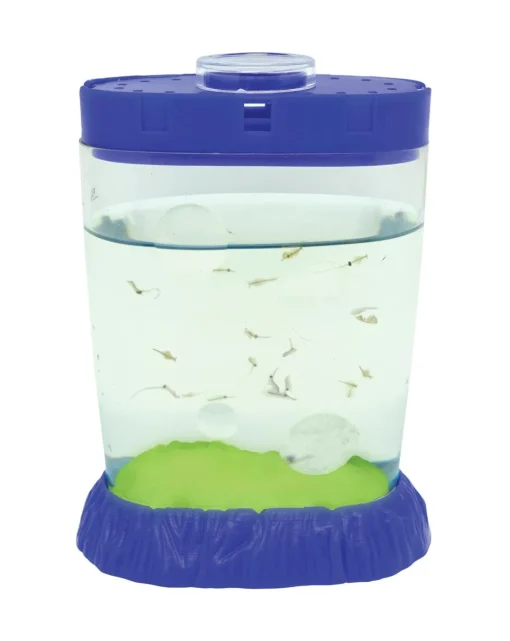 Sea Monkeys Magiquarium