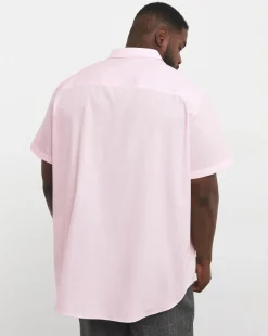 Short Sleeve Formal Shirt Long