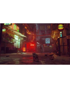 Stray (Nintendo Switch)