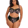 Elomi Morgan Full Fit Knicker Summer Garden