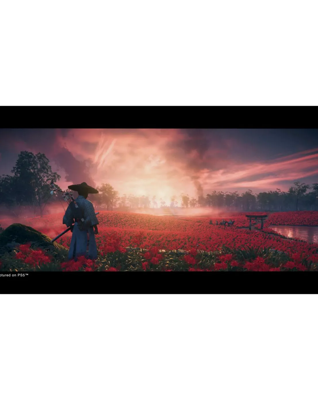 Ghost of Tsushima Director's Cut (PS5)