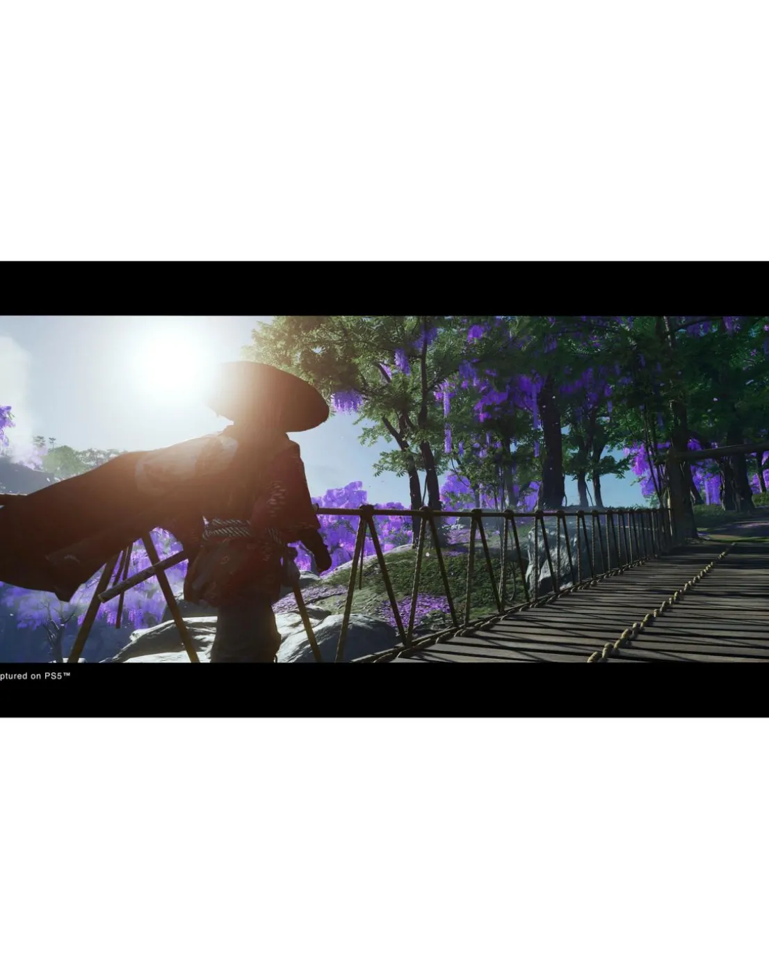 Ghost of Tsushima Director's Cut (PS5)