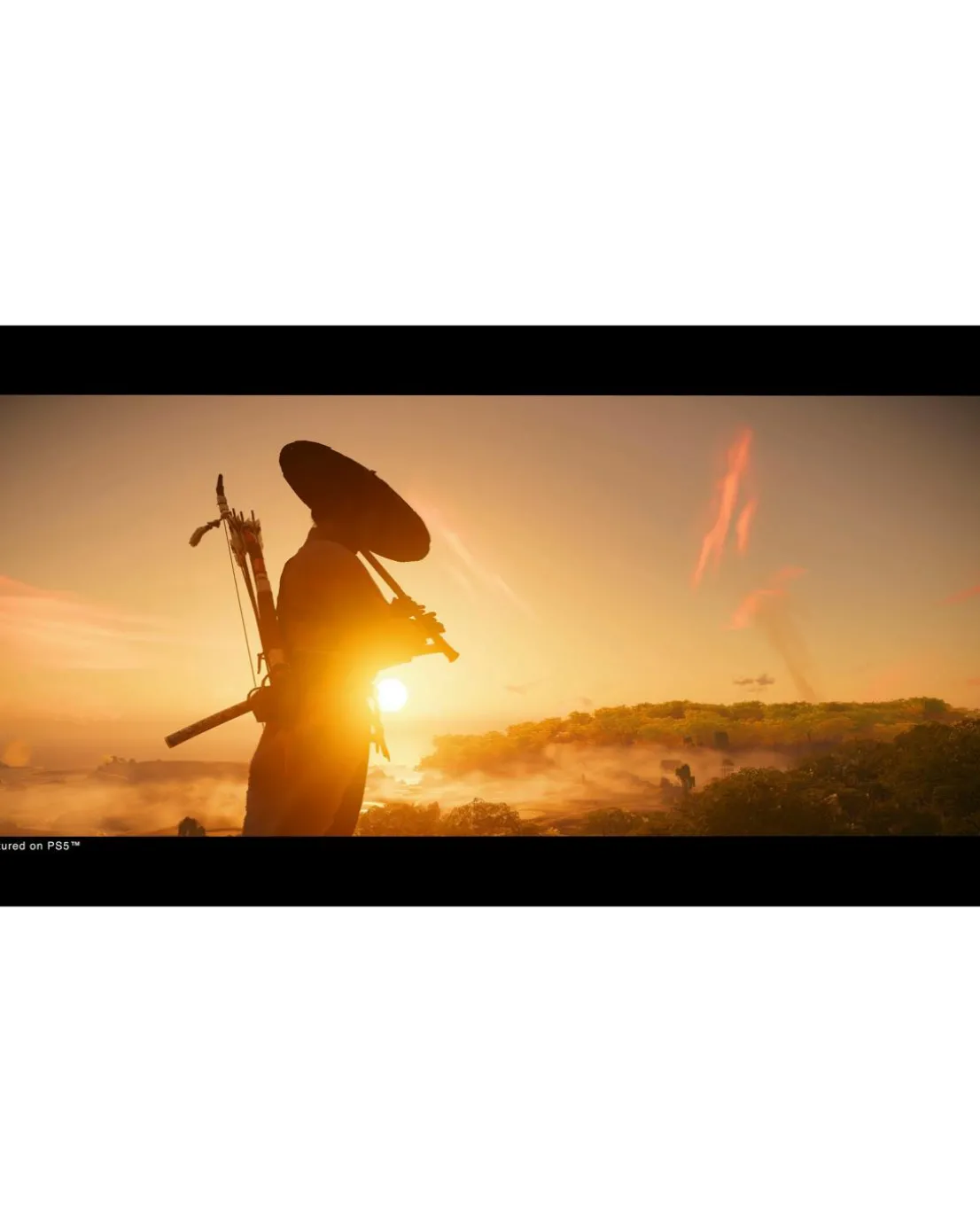 Ghost of Tsushima Director's Cut (PS5)