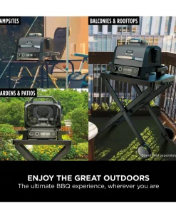 Ninja Woodfire Electric BBQ Grill & Smoker OG701UK