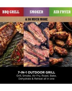 Ninja Woodfire Electric BBQ Grill & Smoker OG701UK